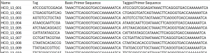 List of primers.png